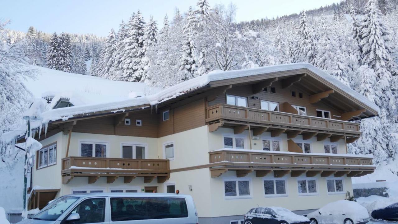 Апартаменты Haus Dienten Динтен-ам-Хохкёниг Экстерьер фото